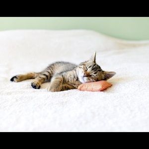 Meet your Posher, Janet